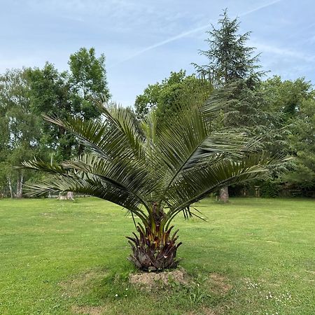 Appartement Familial Au Bord De La Marne, Jardin Tropical , Piscine, Tennis, Terrasse, Parking Gratuit Proche Disneyland Isles-lès-Villenoy Buitenkant foto